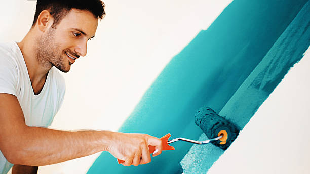 Best Emergency Mold Remediation  in Concordia, MO
