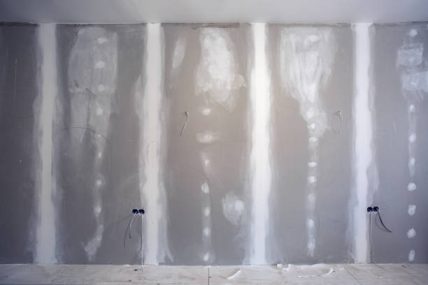 Best HVAC Mold Inspection and Cleaning  in Concordia, MO